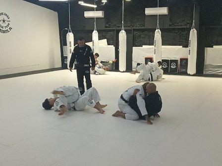 VTT Brazilian jiujitsu, Muay Thai, MMA