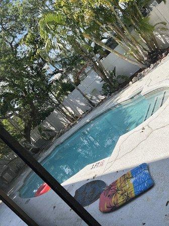 Siesta key babuzziz