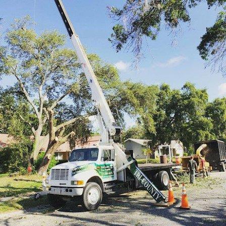 Tri-County Tree Experts