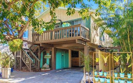 AMI Tree House