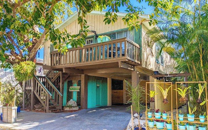 AMI Tree House