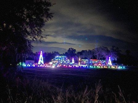 Lights of Palmetto