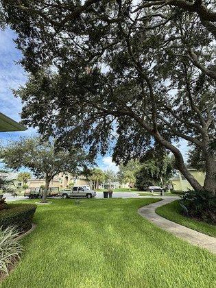 Bay to bay tree service and land clearing inc.