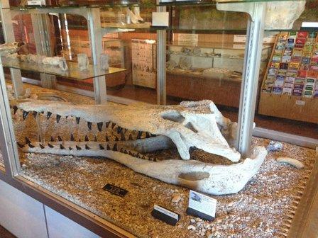 Mulberry Phosphate Museum