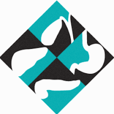 Florida Surgical Specialists