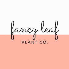 Fancy Leaf Plant Co