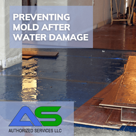 Authorized Services LLC