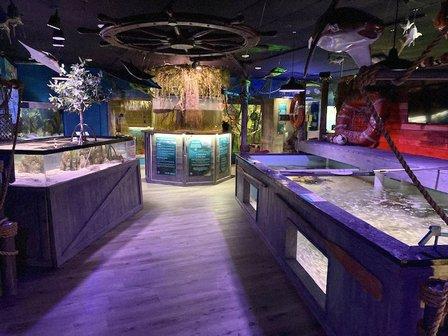 Mertailor’s Mermaid Aquarium Encounter