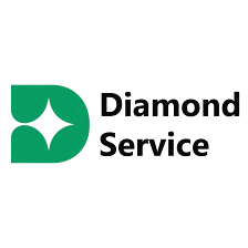 DS Cleaning Housekeeping & Maid Services