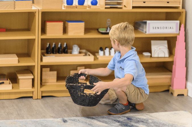 Discover Montessori Academy of Parrish