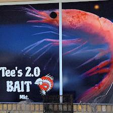 TEE'S 2.0 BAIT MKT