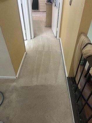 Refresh Carpet Cleaning Services