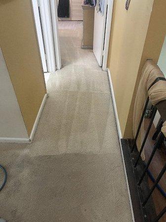Refresh Carpet Cleaning Services