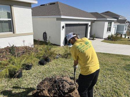 Next Door Lawncare and Landscaping
