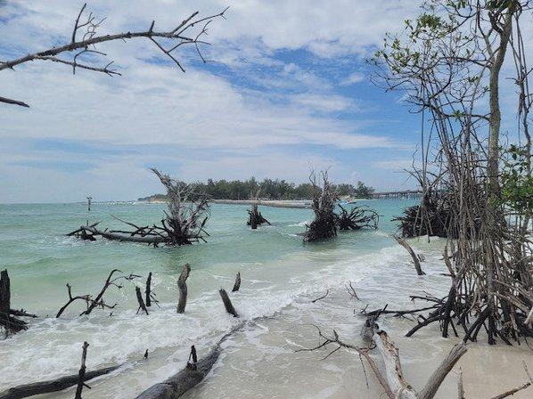 Beer Can Island