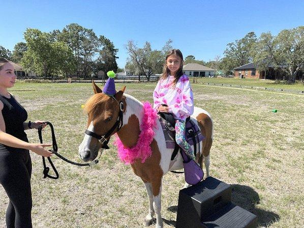 Divinity Stables