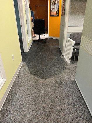 SERVPRO of Dunedin / Palm Harbor South