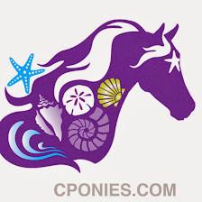 Cponies Beach Horseback Rides