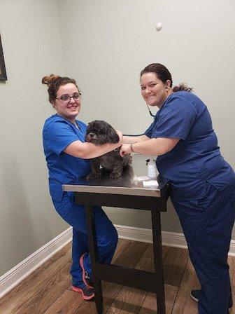 Floral City Animal Clinic