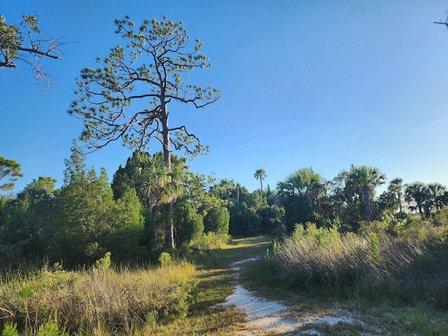 WERNER-BOYCE SALT SPRINGS STATE PARK BLACK RAIL TRAIL HEAD