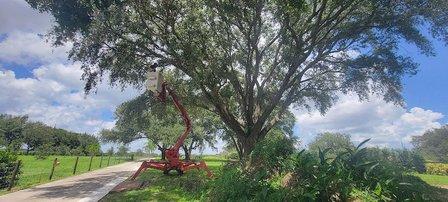 Crosson & Payne Tree Service, LLC