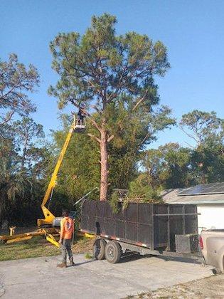 J & L Tree Service, LLC