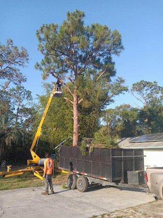 J & L Tree Service, LLC