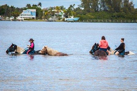 Cponies Beach Horseback Rides