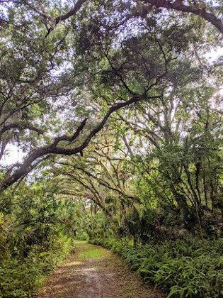 The Meadows Nature Trail
