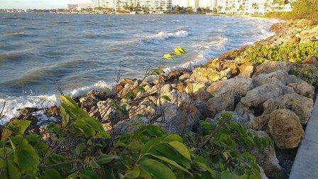 Bird Key Park
