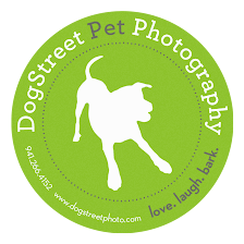 DogStreet Pet Photography