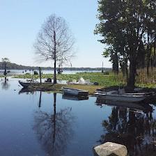 Withlacoochee Backwaters RV & MH Park