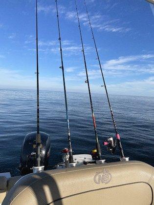 Freedom Boat Club - Tarpon Springs: Aegean