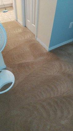 Eco Steam Carpet Cleaning, LLC