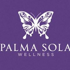 Palma Sola Therapies