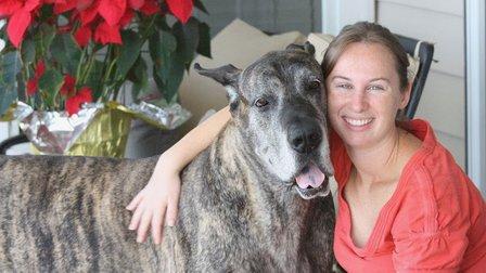 Wag Watchers Pet Sitting Services