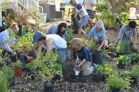 Florida Native Plants Nursery & Landscaping