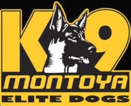 K9 montoya