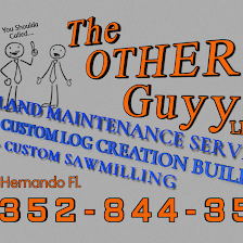 The OTHER Guyy LLC.