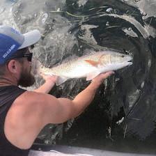 Early Bird Charters