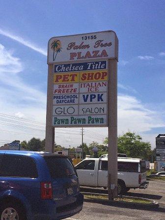 Chelsea Title of The Nature Coast, Inc.