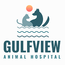 Gulfview Animal Hospital