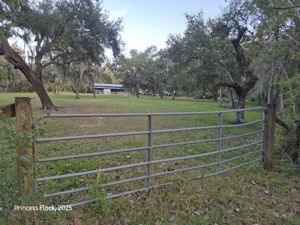 Princess Flock Fresh Eggs Kissimmee