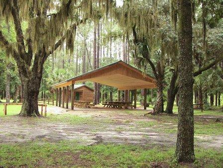 Goethe State Forest