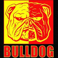 Bulldog Bail Bonds