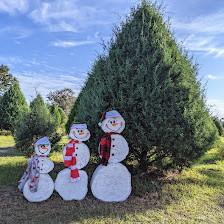 Blue Acres Christmas Tree Farm