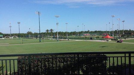 Field 19