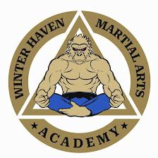 Winter Haven Jiu Jitsu - Winter Haven Martial Arts Academy - Gracie - BJJ - Judo - Step Up Provider Near Lake Wales