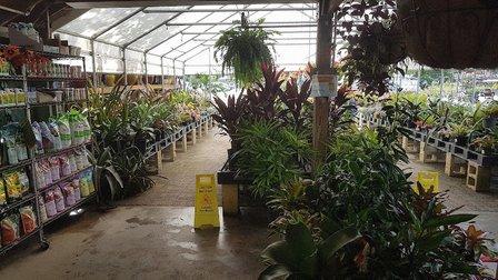 Albritton's Nursery