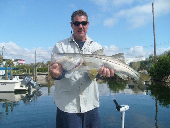 Sarasota Bay Fishing Charters